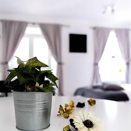 Amica Guesthouse Belfast Habitación foto