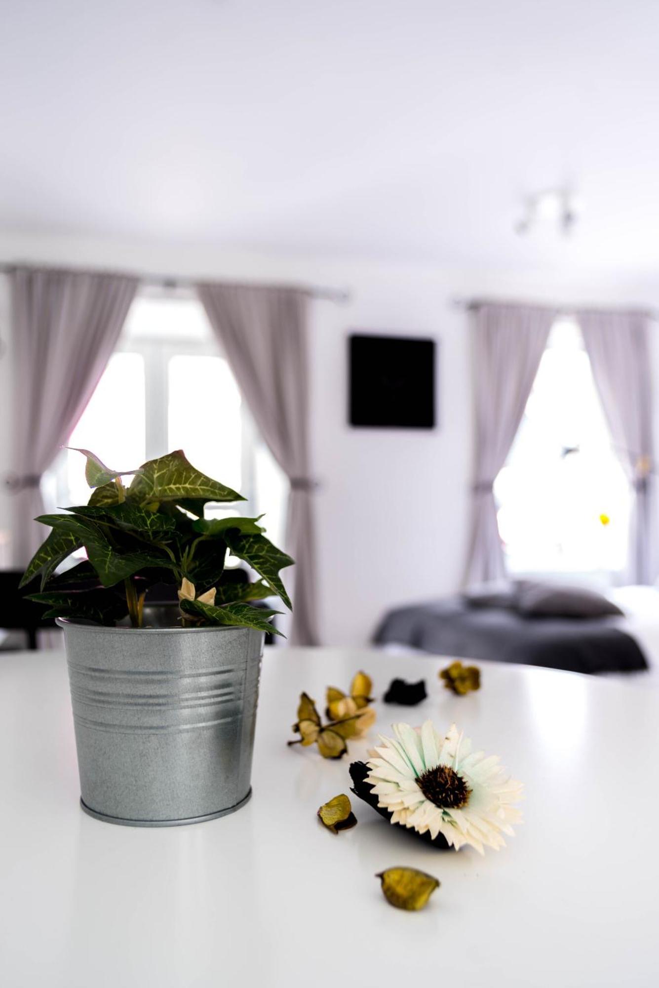 Amica Гостевой дом 3*